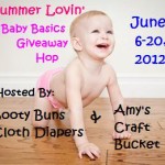 Blogger Sign Ups Are Open For The Summer Lovin’ Baby Basics Giveaway Hop!