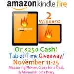 >Tablet Time Kindle Fire (or $250 Cash) Giveaway. Two Winners!