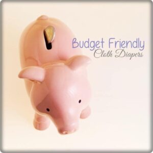 Budget friendly cloth diapers