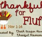 Thankful for Fluff Woolies Dryer Balls {Review & Giveaway} #thankful4fluff