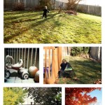 Recent Pictures of My Yard {WBC}