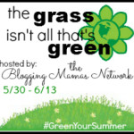 Green Your Summer Blog Hop Event: Funky Fluff Cloth Diaper {Review & Giveaway}