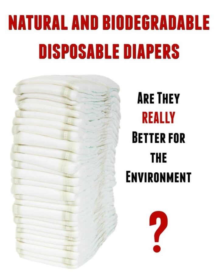 Are All Natural and Biodegradable Diapers Better for the Environment