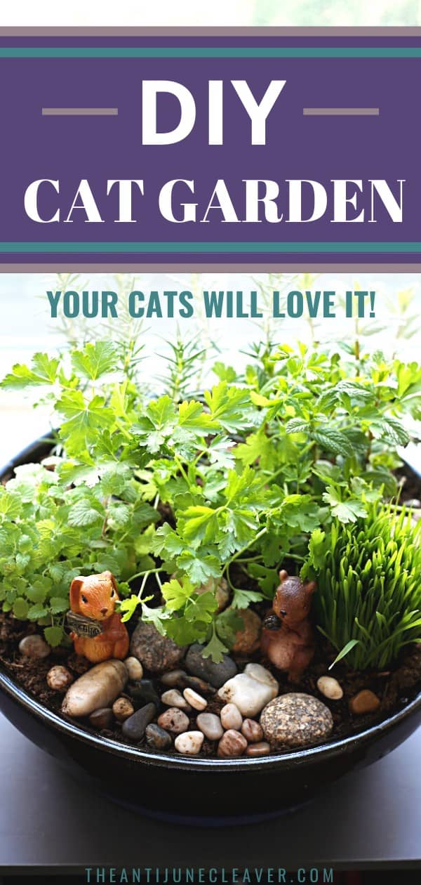 How to Make a DIY Indoor Cat Garden The AntiJune Cleaver