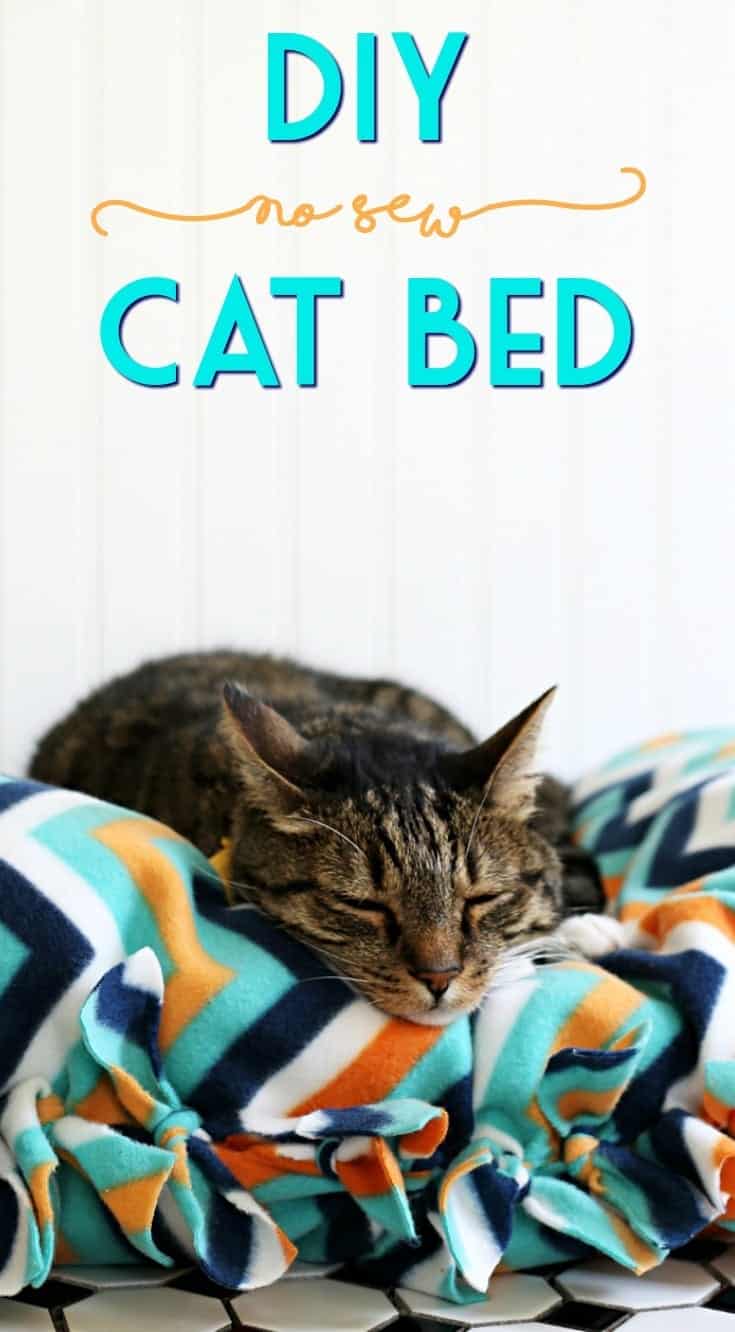How to Make a NoSew DIY Cat Bed The AntiJune Cleaver