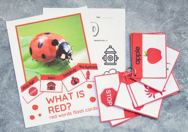 Red Words Flashcards – Free Printable | Haus of Boys