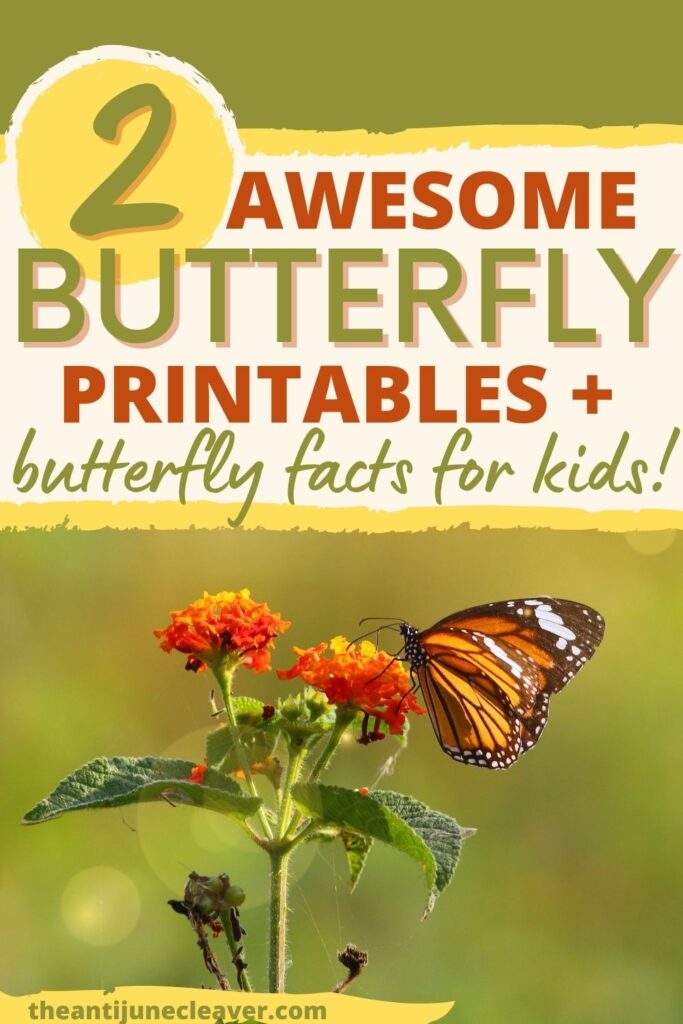 Fascinating Facts About Butterflies For Kids Printable Activity